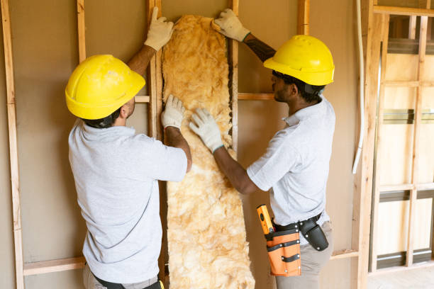 Best Insulation Removal Services  in Enterprise, WV