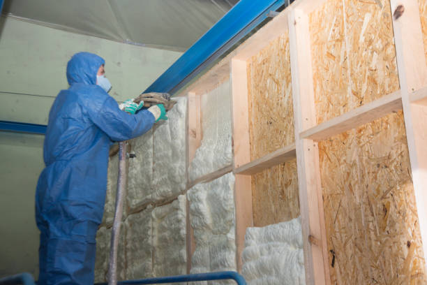 Best Insulation Contractor Near Me  in Enterprise, WV