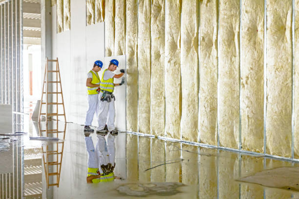 Best Professional Insulation Contractor  in Enterprise, WV